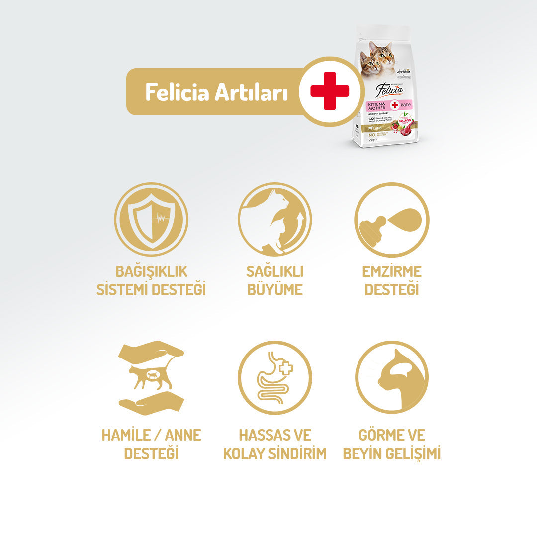 Felicia Kolajen Destekli Hipoalerjenik Kuzulu Yavru ve Anne Kedi Maması 1KG