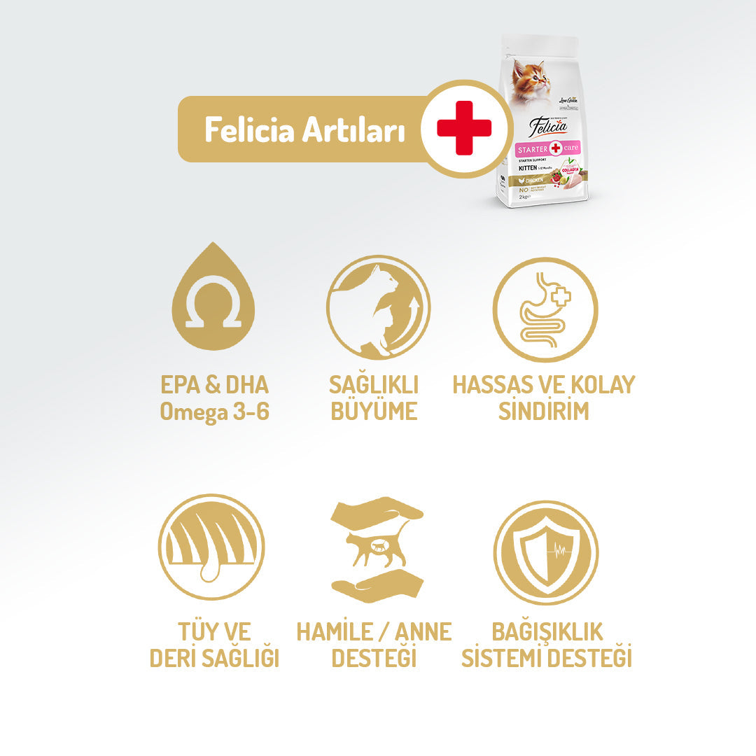 Felicia Kolajen Destekli Hipoalerjenik Tavuklu Yavru Kedi Maması 12KG