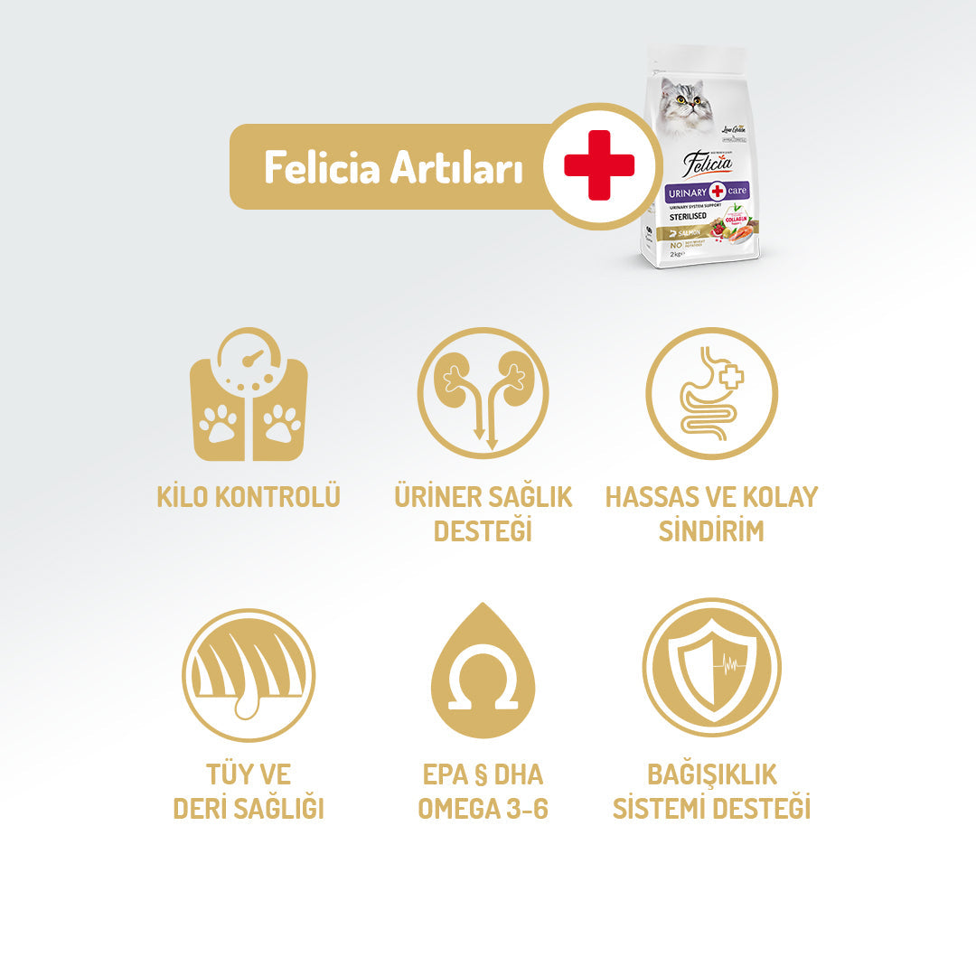Felicia Kolajen Destekli Hipoalerjenik Somonlu Kısırlaştırılmış Yetişkin Kedi Maması 5KG