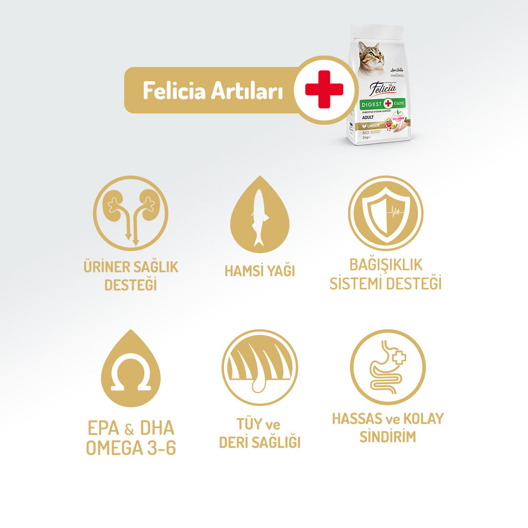 Felicia Kolajen Destekli Hipoalerjenik Tavuklu Yetişkin Kedi Maması 12KG