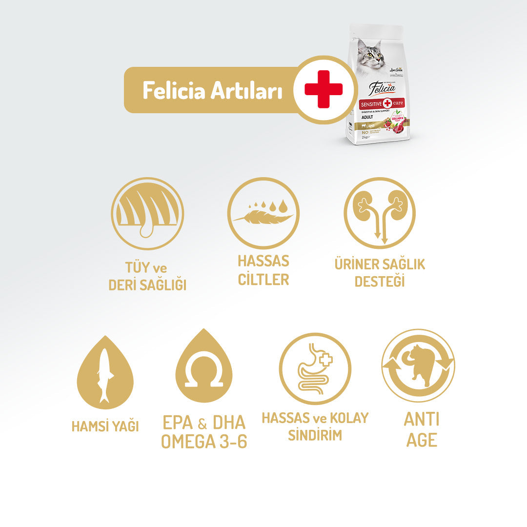 Felicia Kolajen Destekli Hipoalerjenik Kuzulu Yetişkin Kedi Maması 1KG