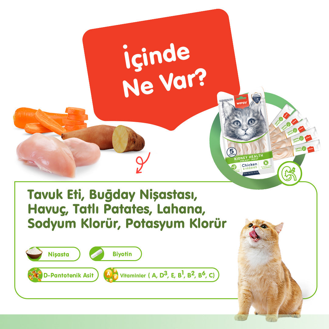 Wanpy Kidney Health Tavuk&Sebzeli Krema Ödül 5x14gr