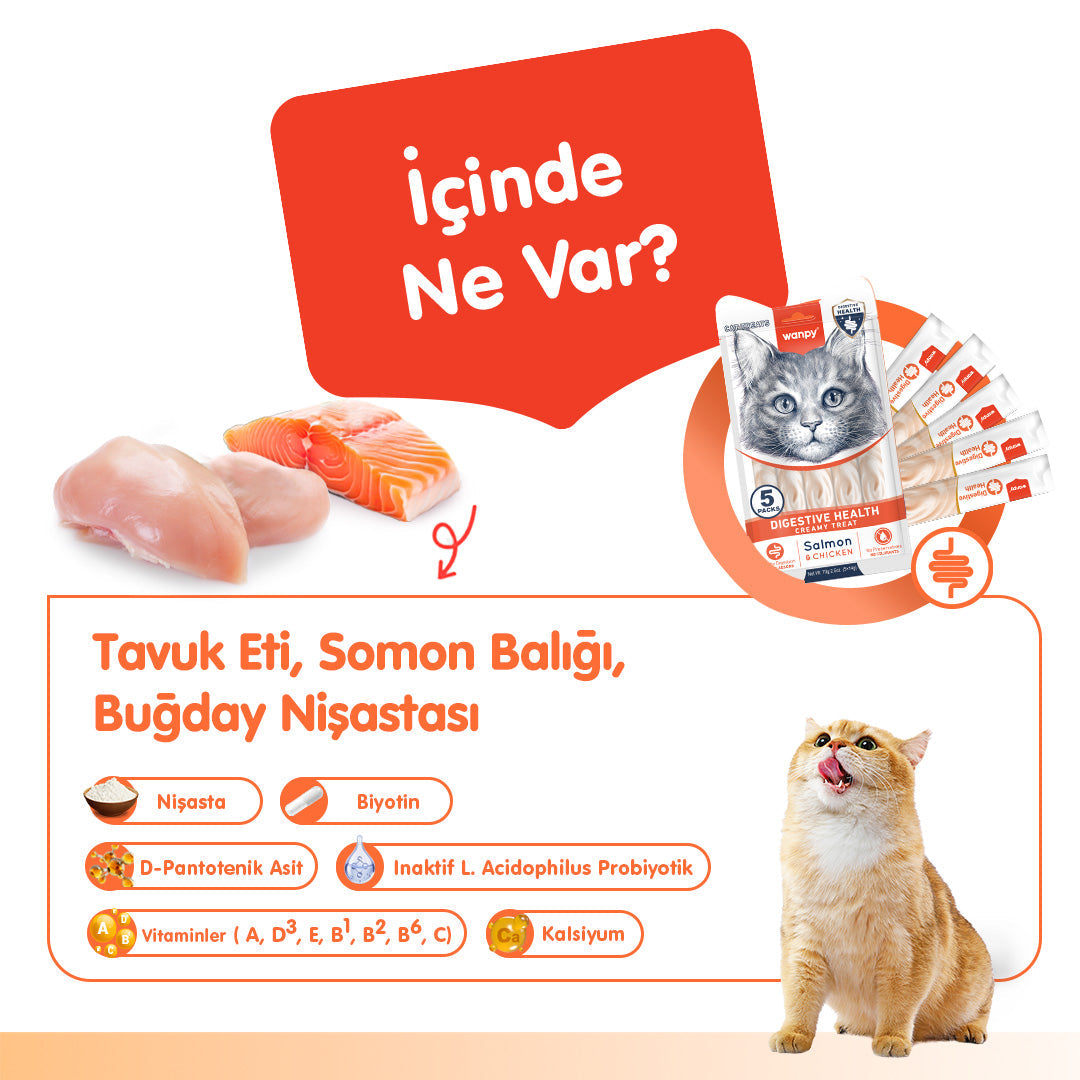 Wanpy Digestive Health Somon Balığı&Tavuklu Krema Ödül 5x14gr