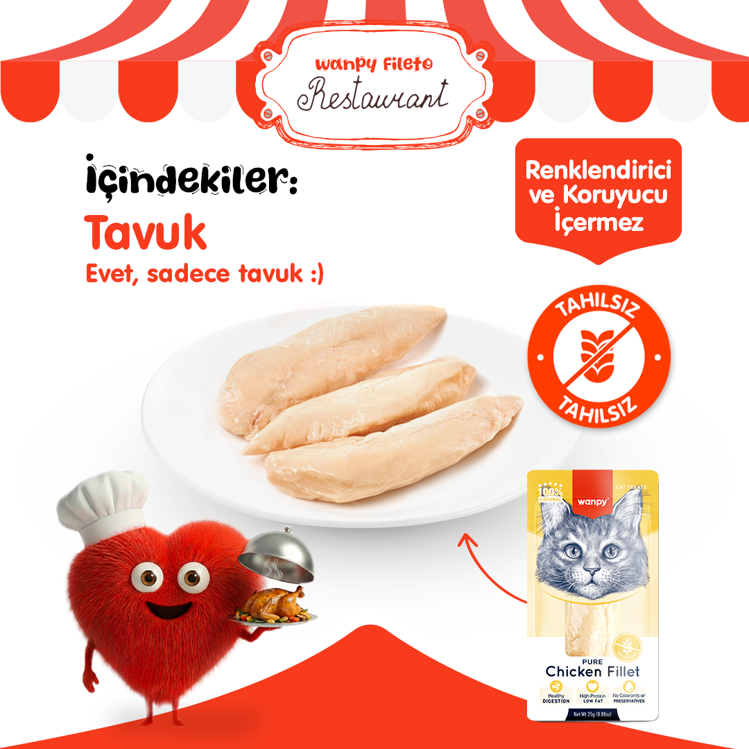 Wanpy Gerçek Tavuk Fileto 25g Kedi Ödülü