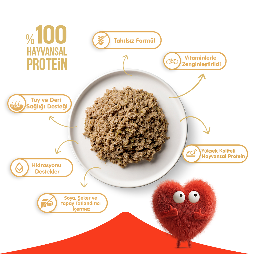 Wanpy Tahılsız Kedi %100 Gerçek Et gr Ton Balıklı Konserve 375 gr