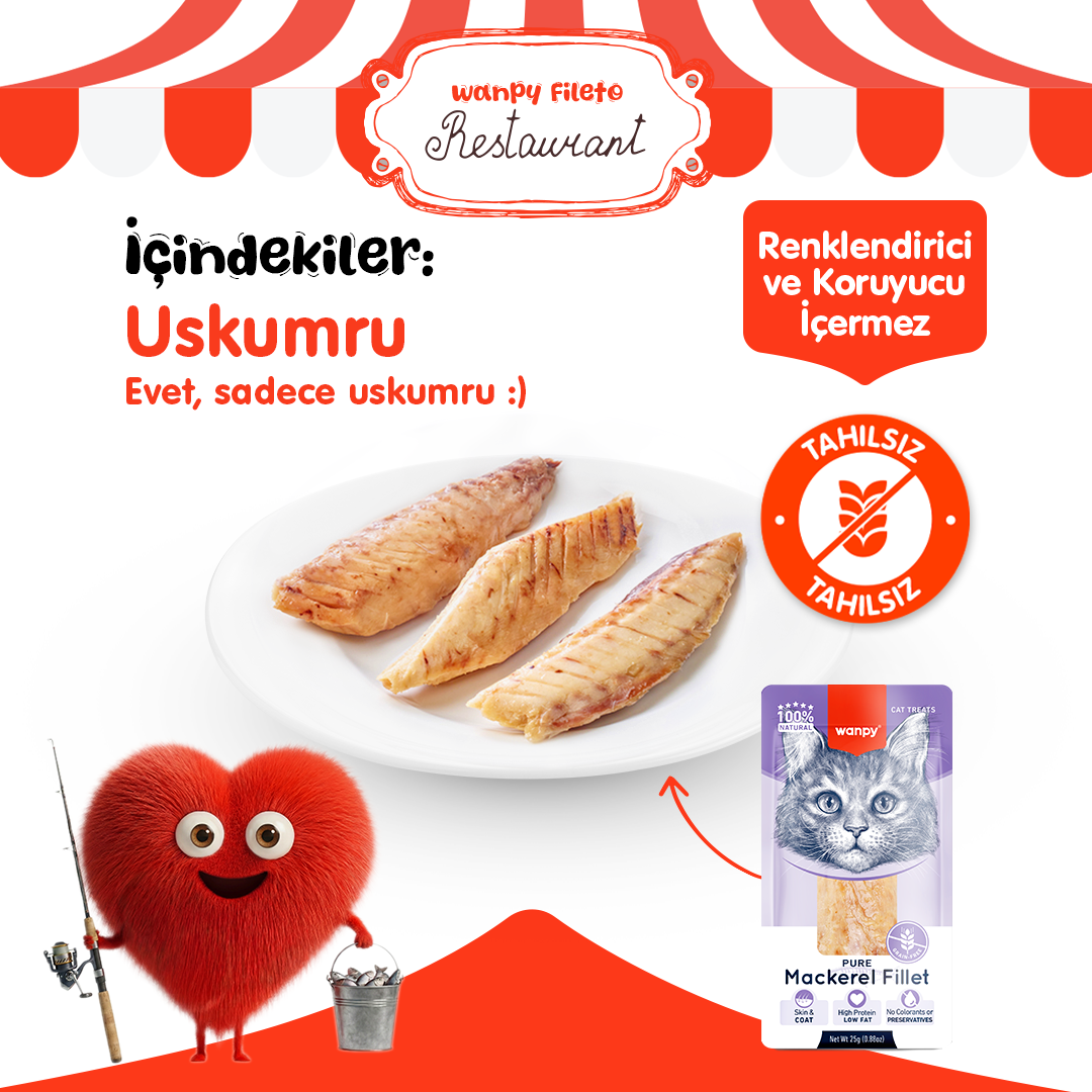 Wanpy Gerçek Uskumru Fileto 25g Kedi Ödülü
