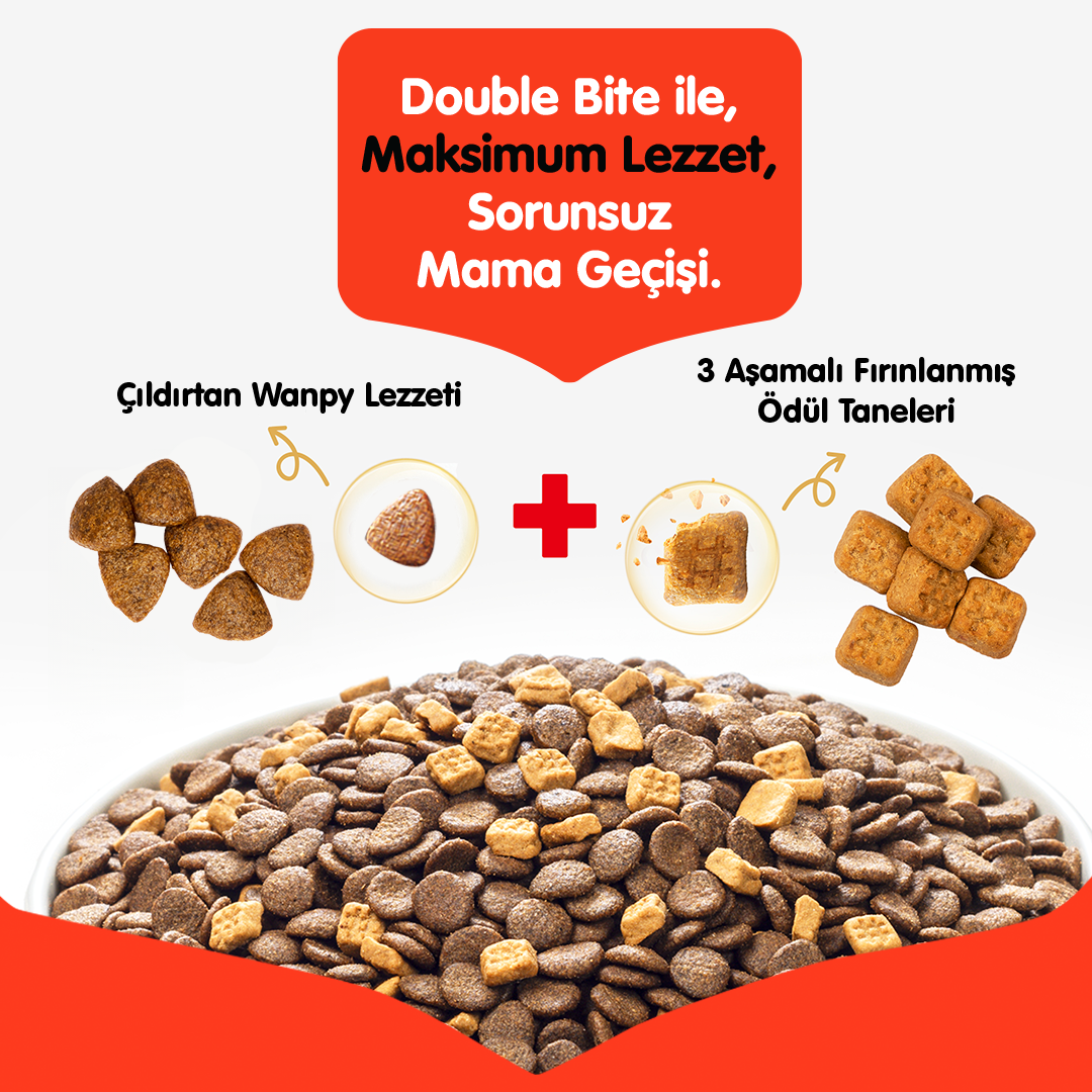 Wanpy Tahılsız Somonlu Yetişkin Köpek Maması 1.5kg