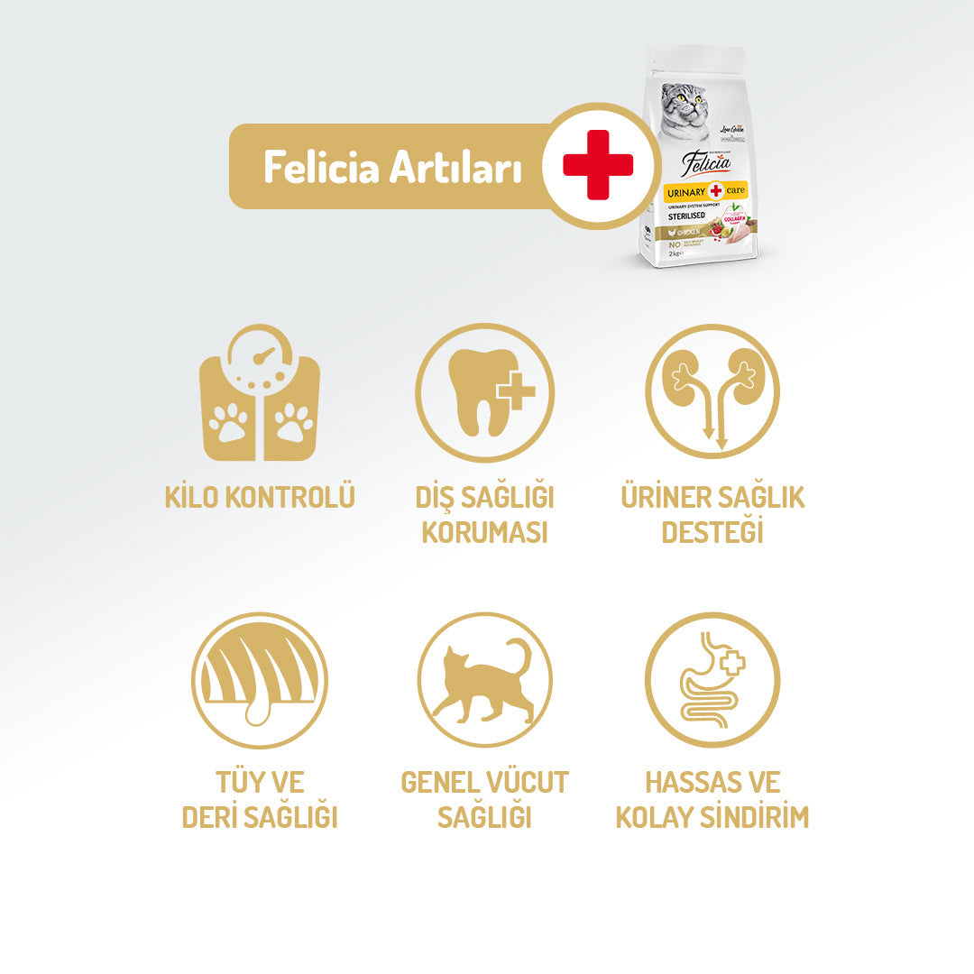 Felicia Kolajen Destekli Hipoalerjenik Tavuklu Kısırlaştırılmış Yetişkin Kedi Maması 12KG