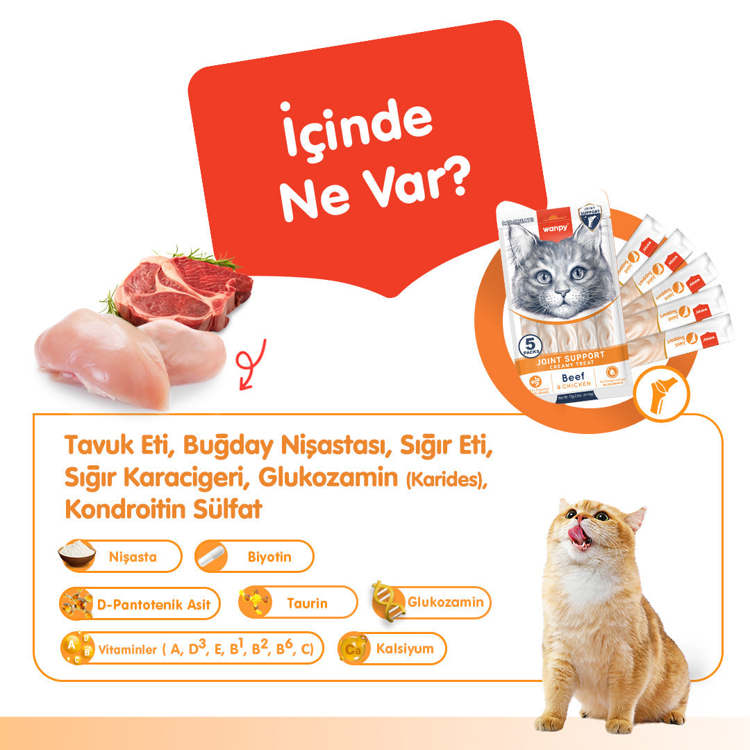 Wanpy Bone Support Sığır Eti&Tavuklu Krema Ödül 5x14gr