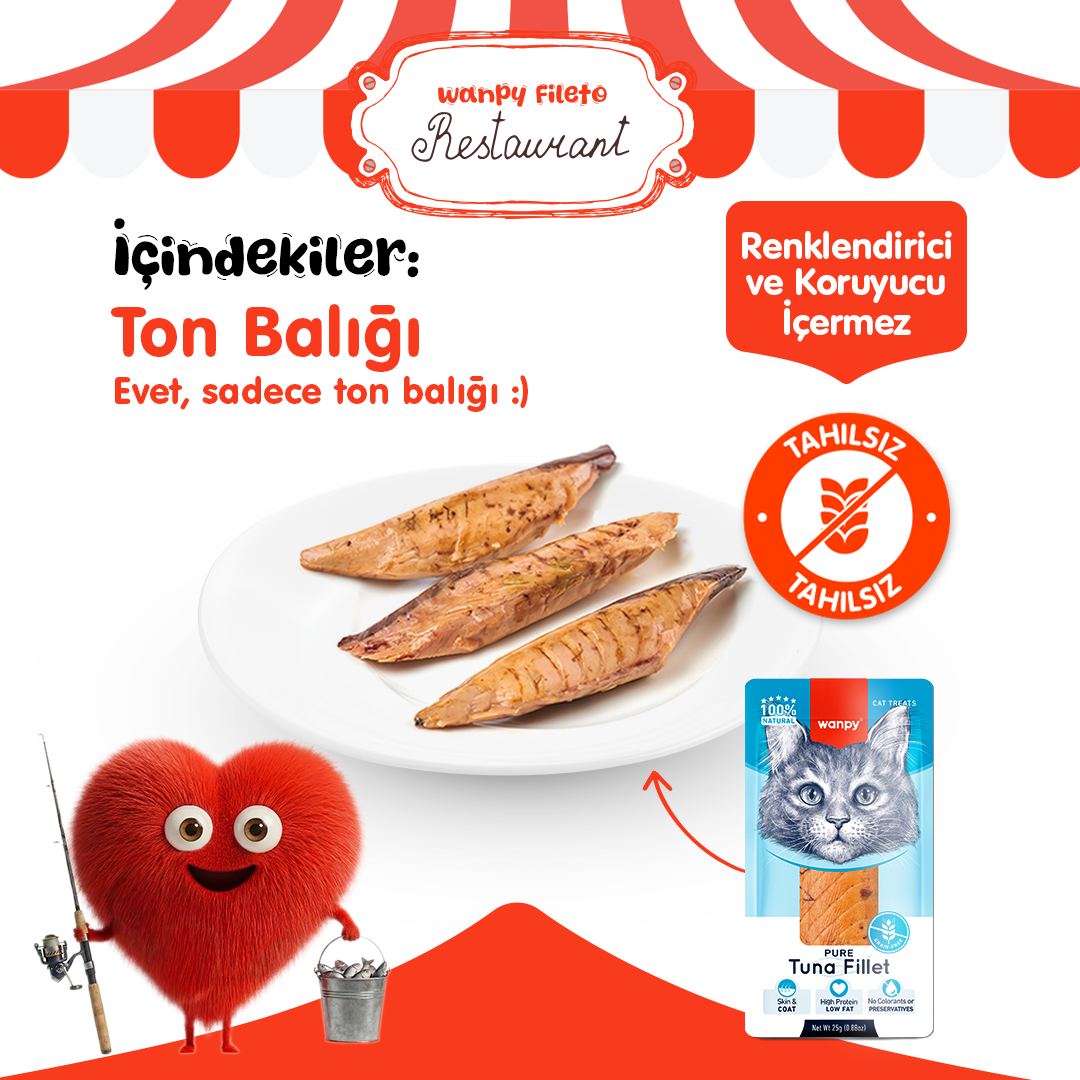 Wanpy Gerçek Ton Balığı Fileto 25g Kedi Ödülü